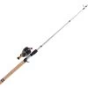 Abu Garcia Abumatic Max STX Combo
