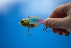 Berkley DEX Ripper -Vissen Winkel 1572667r 5