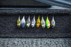 Berkley DEX Ripper -Vissen Winkel 1572667r 6