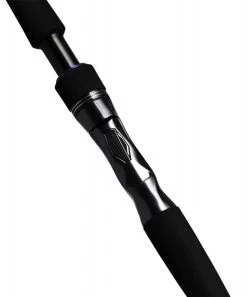 Daiwa Prorex AGS Baitcast -Vissen Winkel 210912r 5