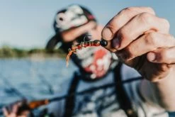 Quantum 4Street B-Ass Creature 6,3cm (7pcs) -Vissen Winkel 22 3580002r 5