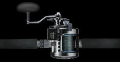 Daiwa Saltist -Vissen Winkel 32 220426r 3
