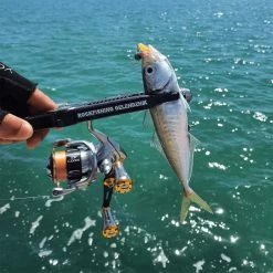 Gomexus 20mm CNC Aluminium Power Knob -Vissen Winkel A20TNGDr 3