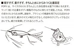 Megabass PopX -Vissen Winkel MB 00000000267r 3