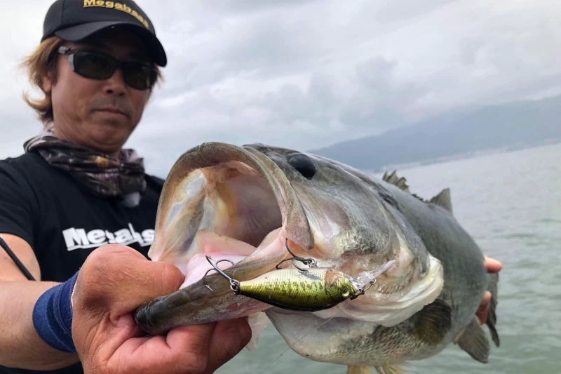 Megabass Deep-X 100 LBO 2 Megabass Deep-X 100 LBO - Afbeelding 2