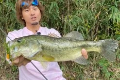 Megabass Vibration-X Dyna (Rattle In) -Vissen Winkel MB VXDR 4513473465505r 3