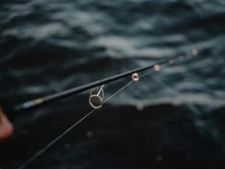 Jaeger Pike One Spinn 8'4'' 30-90g 10 Jaeger Pike One Spinn 8'4'' 30-90g -Vissen Winkel PKE ROD 1 5